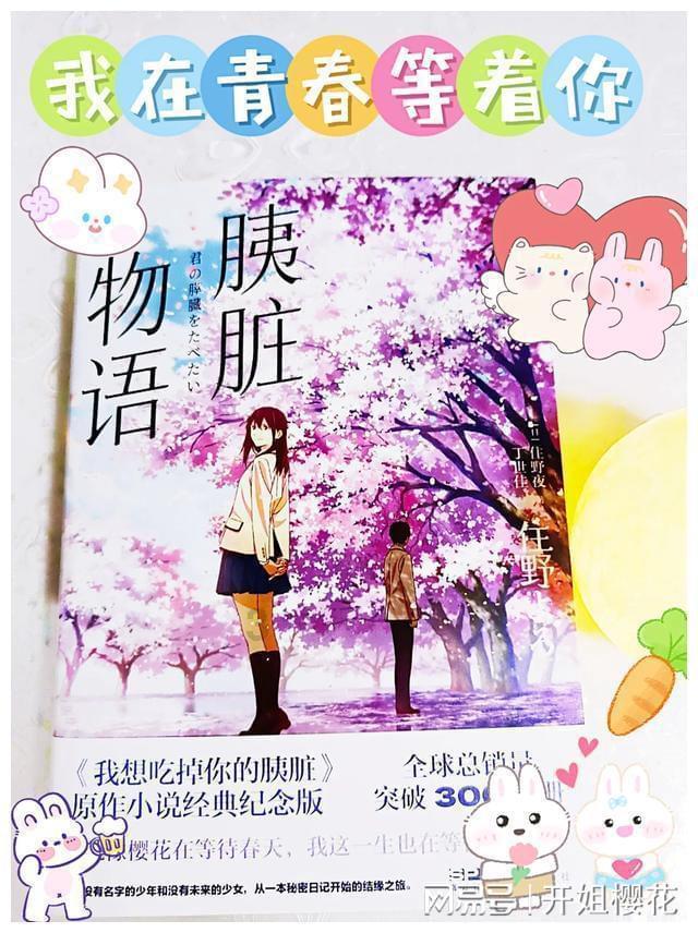 懒惰男孩拯救